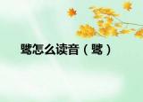 骘怎么读音（骘）