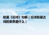 赵翼《论诗》句解（论诗赵翼古诗的意思是什么）