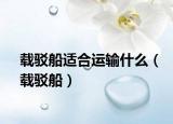 载驳船适合运输什么（载驳船）