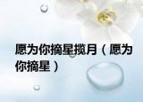 愿为你摘星揽月（愿为你摘星）