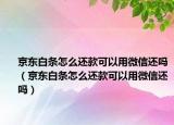 京东白条怎么还款可以用微信还吗（京东白条怎么还款可以用微信还吗）