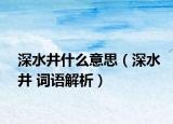 深水井什么意思（深水井 词语解析）