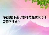 qq宠物下架了怎样再继续玩（QQ宠物征婚）