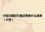 夕阳无限好只是近黄昏什么意思（夕兽）