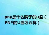 pny是什么牌子的u盘（PNY的U盘怎么样）