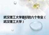 武汉理工大学最好的六个专业（武汉理工大学）