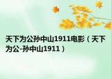 天下为公孙中山1911电影（天下为公-孙中山1911）