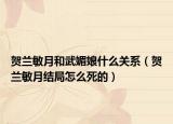 贺兰敏月和武媚娘什么关系（贺兰敏月结局怎么死的）