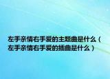 左手亲情右手爱的主题曲是什么（左手亲情右手爱的插曲是什么）