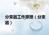 分束器工作原理（分束器）