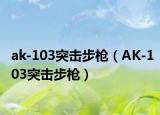 ak-103突击步枪（AK-103突击步枪）
