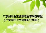广东潮州卫生健康职业学院在哪里（广东潮州卫生健康职业学院）
