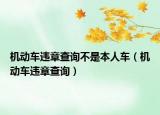 机动车违章查询不是本人车（机动车违章查询）