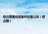 侵占罪是自诉案件还是公诉（侵占罪）