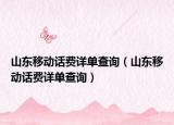 山东移动话费详单查询（山东移动话费详单查询）