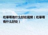 吃草莓有什么好处视频（吃草莓有什么好处）