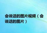 会说话的图片视频（会说话的图片）