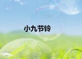 小九节铃