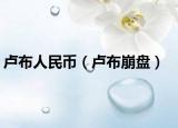 卢布人民币（卢布崩盘）