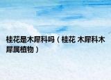 桂花是木犀科吗（桂花 木犀科木犀属植物）