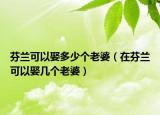 芬兰可以娶多少个老婆（在芬兰可以娶几个老婆）