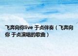 飞奔向你live 于贞伴奏（飞奔向你 于贞演唱的歌曲）