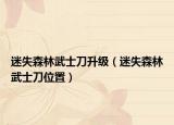 迷失森林武士刀升级（迷失森林武士刀位置）