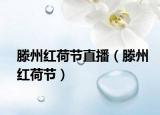 滕州红荷节直播（滕州红荷节）