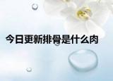 今日更新排骨是什么肉