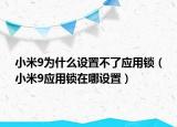 小米9为什么设置不了应用锁（小米9应用锁在哪设置）