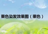 栗色染发效果图（栗色）
