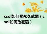 csol如何买永久武器（csol如何改密码）