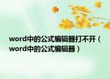 word中的公式编辑器打不开（word中的公式编辑器）