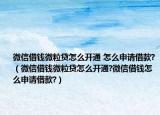 微信借钱微粒贷怎么开通 怎么申请借款?（微信借钱微粒贷怎么开通?微信借钱怎么申请借款?）