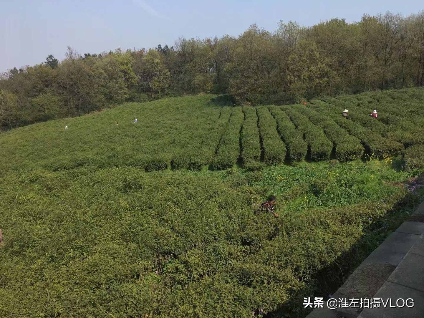 江南福地，常来常熟：虞山-尚湖风景区游后感
