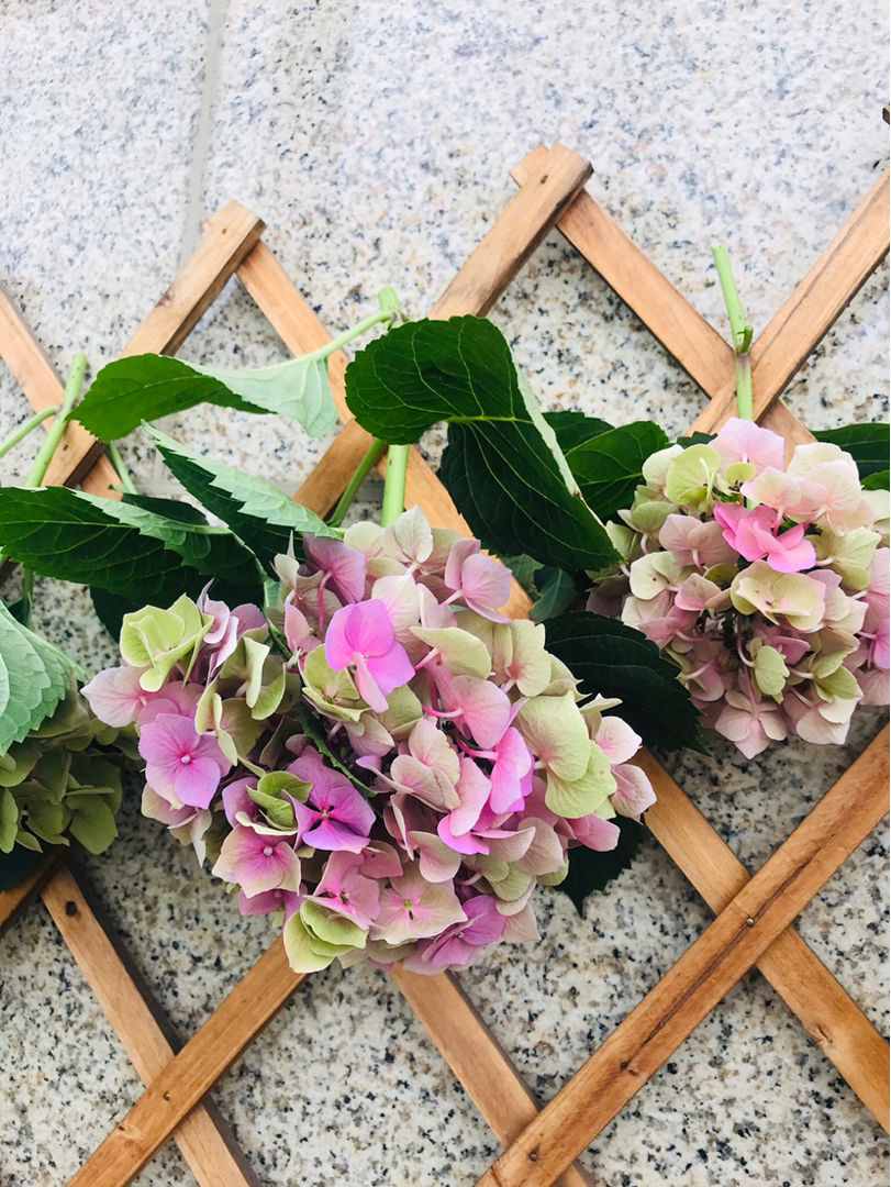 想要花期永驻？干花的制作方法，必须要掌握