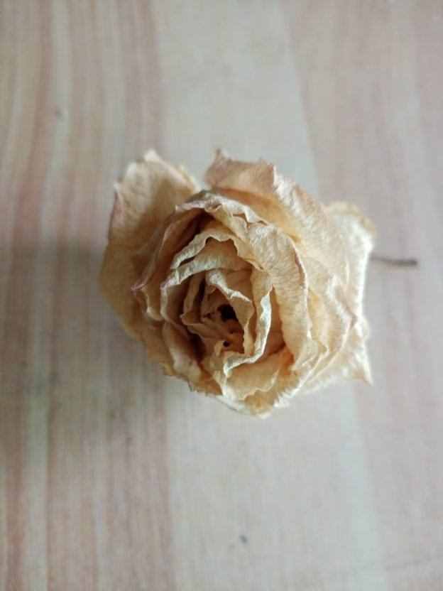 想要花期永驻？干花的制作方法，必须要掌握