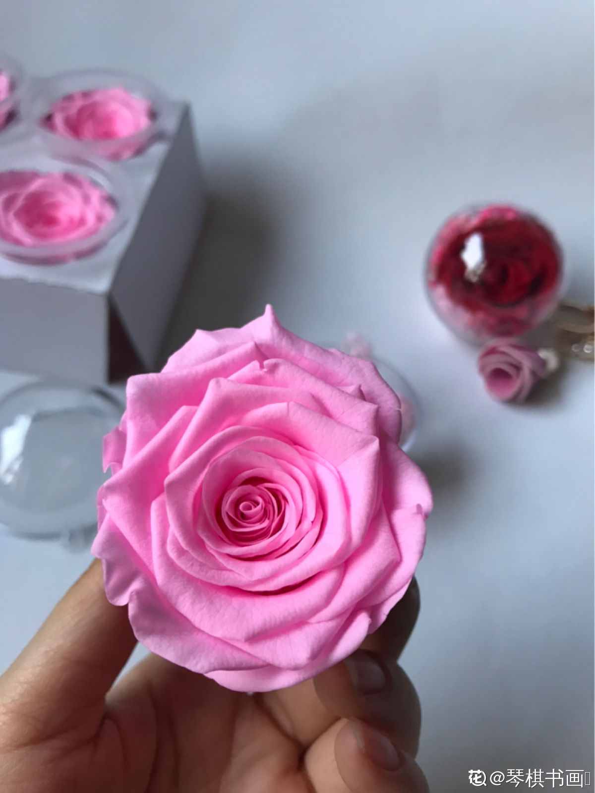 想要花期永驻？干花的制作方法，必须要掌握