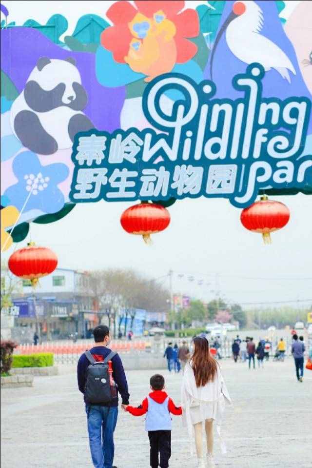 芳菲四月的秦岭野生动物园，美景中的乐趣堪比我想要的“后花园”