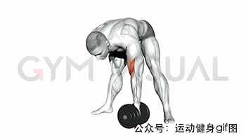 30张肌肉动图谱告诉你，手臂肌肉怎么练