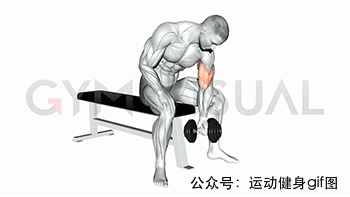 30张肌肉动图谱告诉你，手臂肌肉怎么练