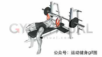 30张肌肉动图谱告诉你，手臂肌肉怎么练