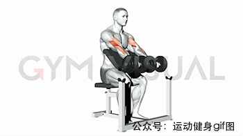 30张肌肉动图谱告诉你，手臂肌肉怎么练