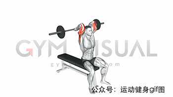 30张肌肉动图谱告诉你，手臂肌肉怎么练
