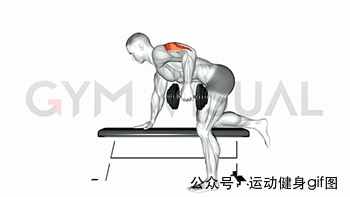 30张肌肉动图谱告诉你，手臂肌肉怎么练