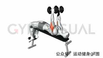30张肌肉动图谱告诉你，手臂肌肉怎么练