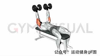 30张肌肉动图谱告诉你，手臂肌肉怎么练