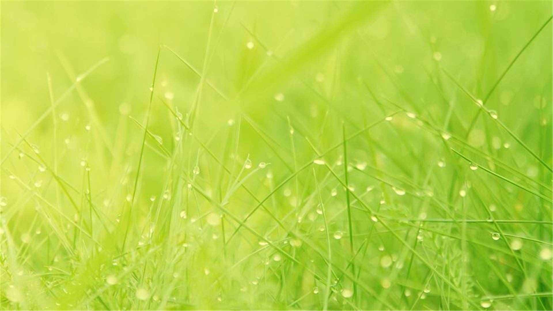 82张护眼电脑桌面壁纸，超多超全，唯美漂亮