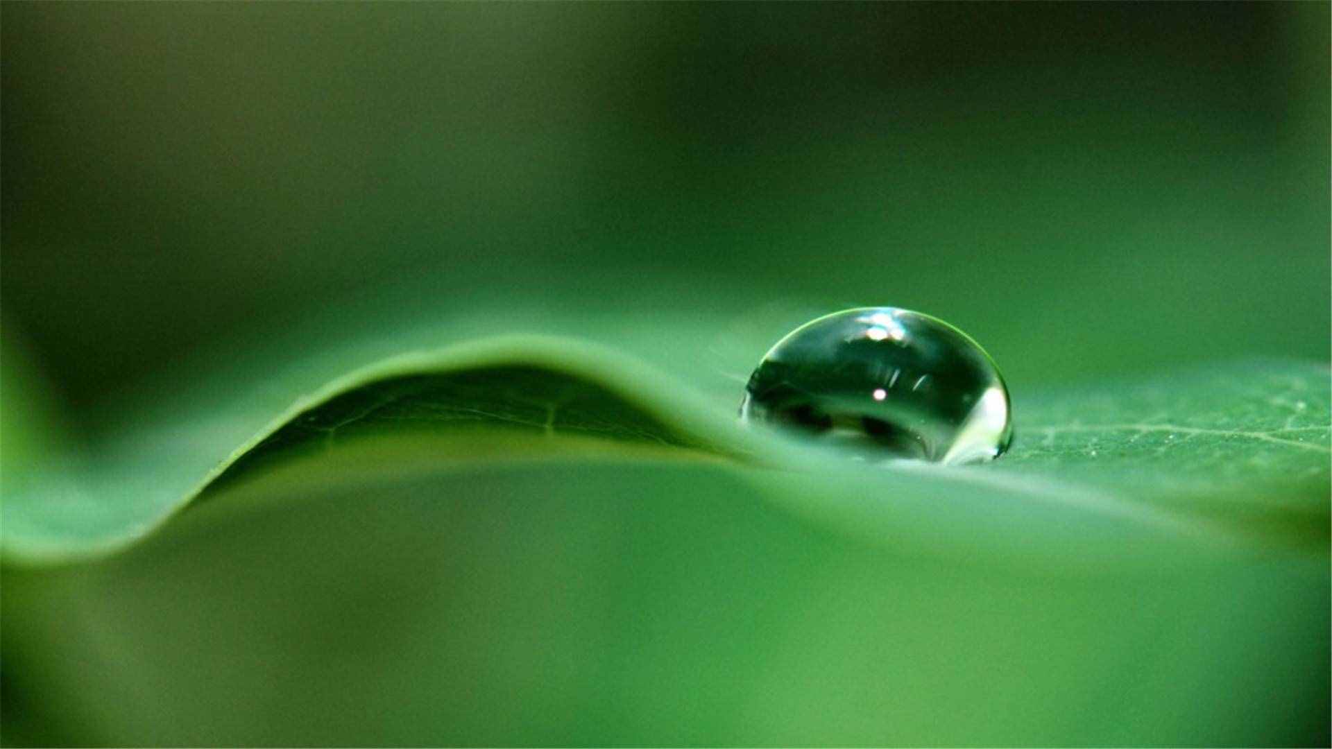 82张护眼电脑桌面壁纸，超多超全，唯美漂亮