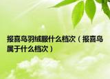 报喜鸟羽绒服什么档次（报喜鸟属于什么档次）